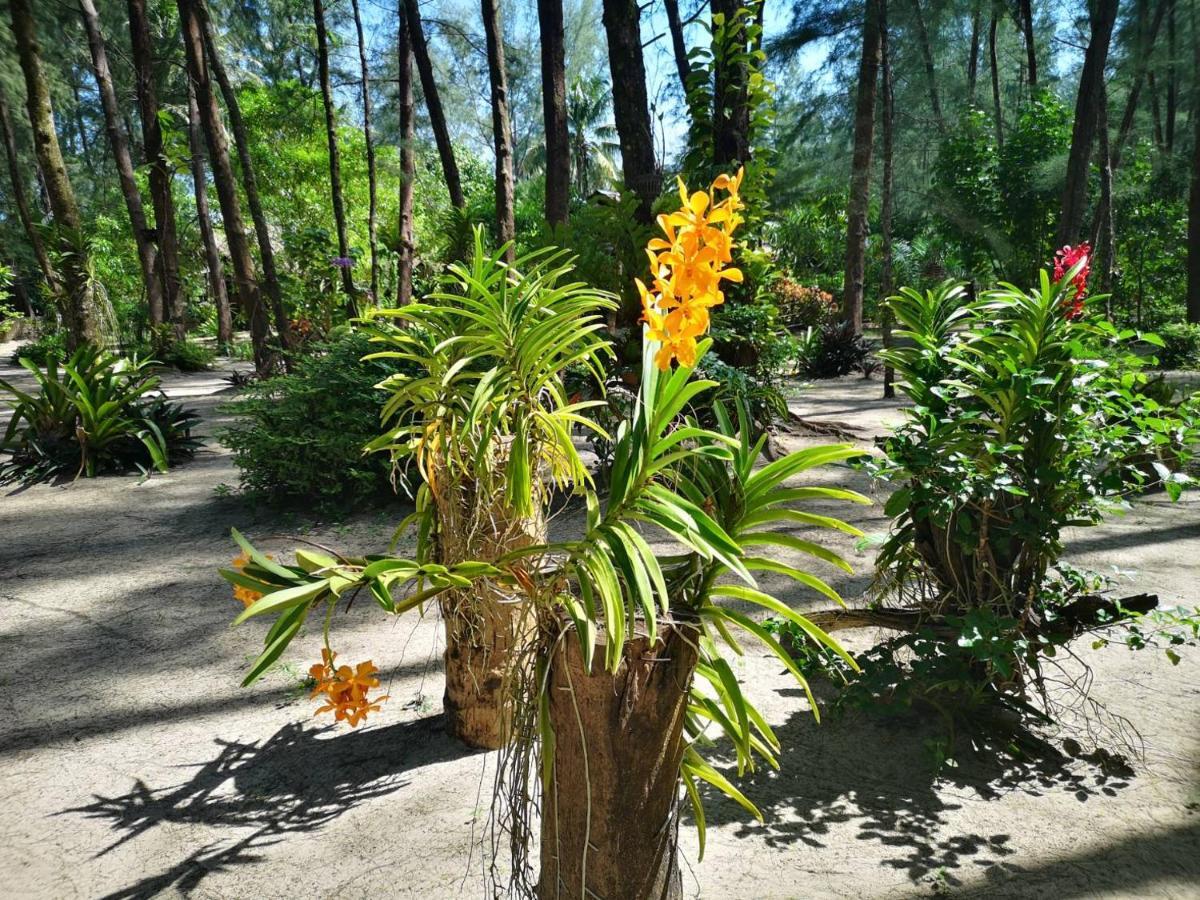 Hapla Beach Cottage Koh Kho Khao Island Dış mekan fotoğraf